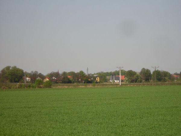 zdjecie Sulechów