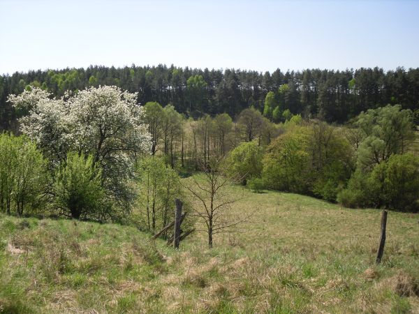 zdjecie Krępsk