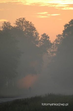 Łochyńsko droga na Straszów (Leszek JAROSZ)