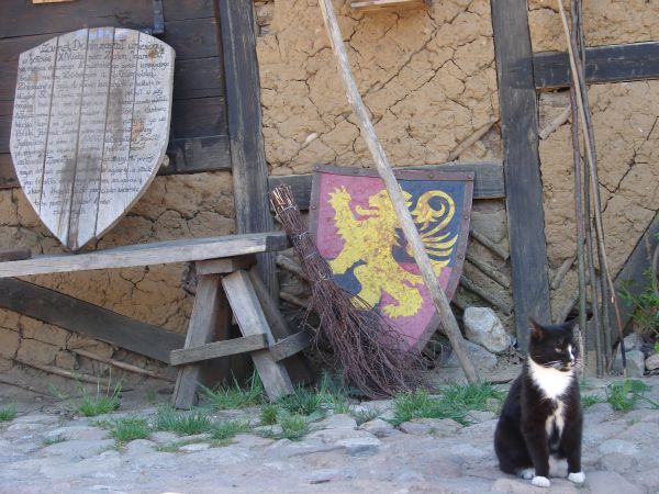 Zamek Drahim w Starym Drawsku