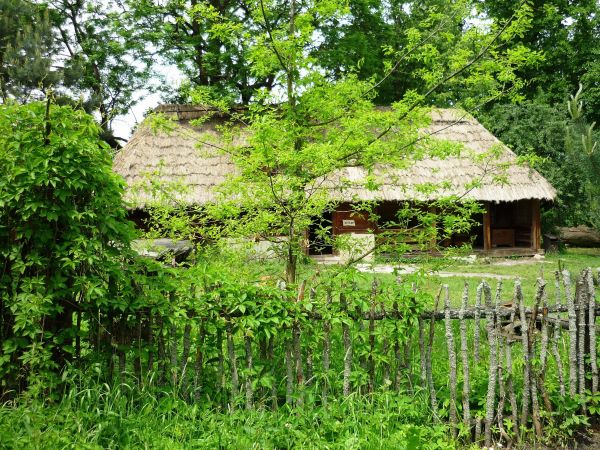 Stara , zabytkowa zagroda chłopska z XIX wieku , we wsi Guciów na Lubelszczyźnie. Obecnie muzeum wsi.