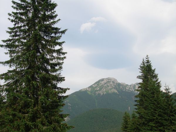 zdjecie Kościelisko