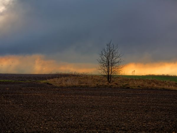 zdjecie Siemianowice Śląskie