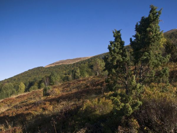 Na Połoninie Caryńskiej