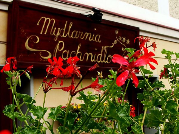 zdjecie Polanica-Zdrój