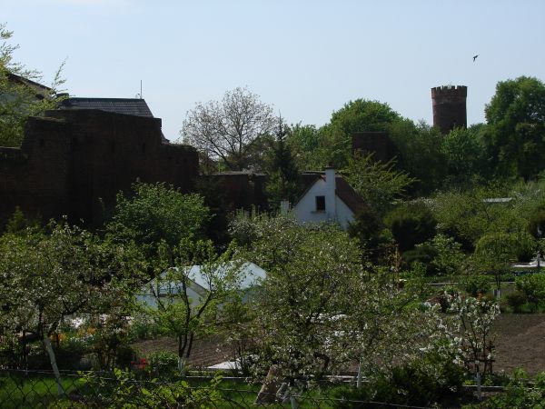 Pyrzyce - mury mijskie