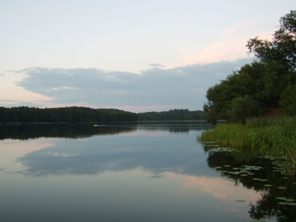 Jezioro Dankowskie Wielgie