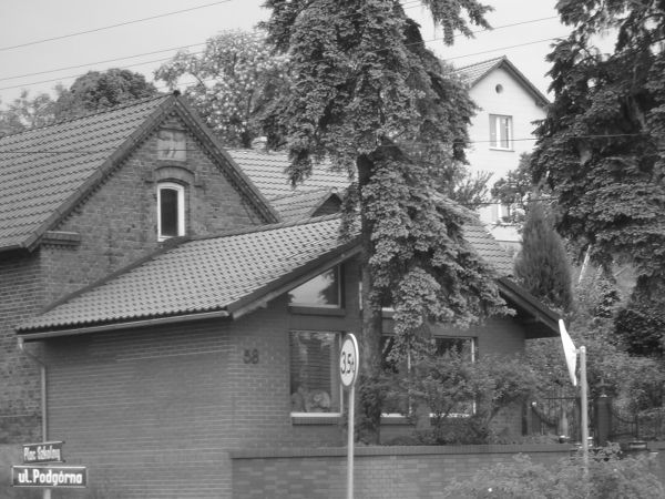 zdjecie Sulechów