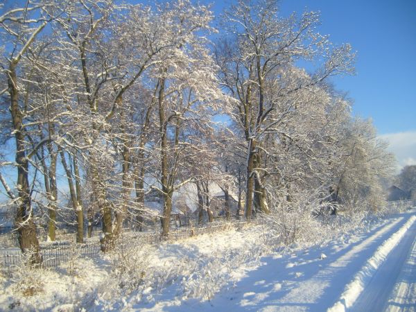 Zima2009 - droga gminna biegnąca wzdłuż wsi obok dzialka po cmentarzu ewangelickim z zabytkowym ogrodzeniem