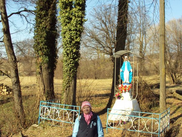 przed / obok : kapliczka przydrożna w formie figury Matki Boskiej, na betonowym postumencie, obok : bluszcze pnące się po pniach drzew. Bluszcz jest krzewem - p