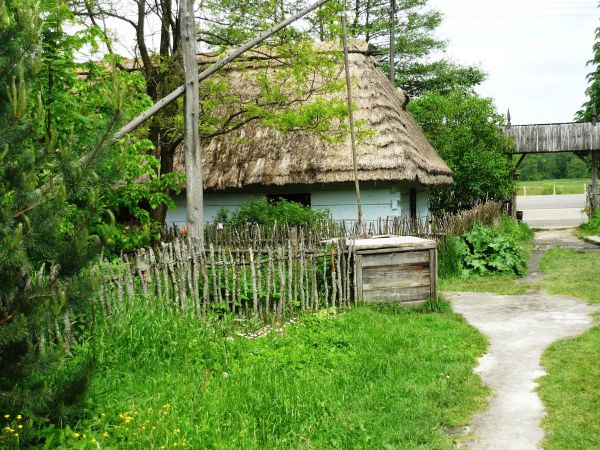 Stara , zabytkowa zagroda chłopska z XIX wieku , we wsi Guciów na Lubelszczyźnie. Obecnie muzeum wsi.