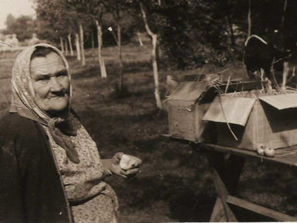 Kiedyś znajomym i rodzinie wysyłało się jabłka z własnego sadu pocztą.Na zdjęciu Agnieszka Maślanka przygotowuje paczki z jabłkami do wysyłki. Strzelce Wielkie