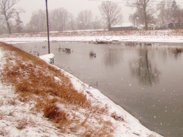 Kępa Polska dnia 05.03.2010r. -  Mołtawa po zimowej powodzi gdy poprzedniego dnia o god. 20,30 Wisła osiagnęła na wodowskazie maksymalny poziom 728 cm. Na zdjęc