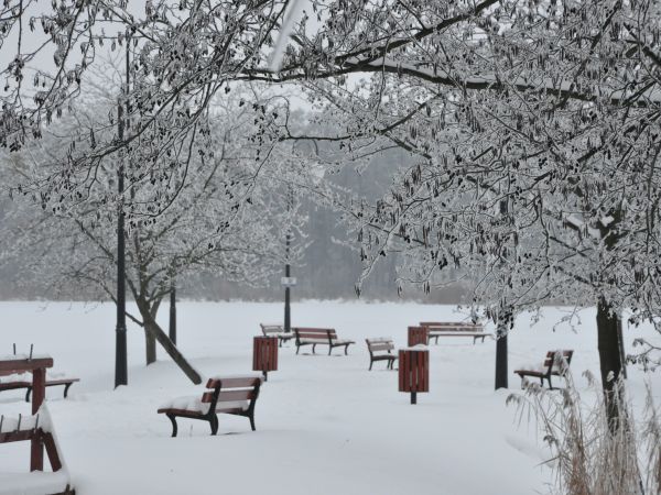 Wolsztyn - Molo na jeziorze Wolsztyńskim zimą 2010 roku