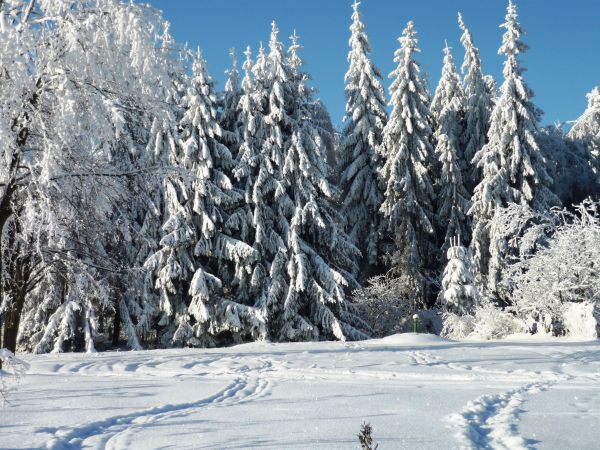 Zimowe krajobrazy z okolic  Arłamowa na Pogórzu Przemyskim.