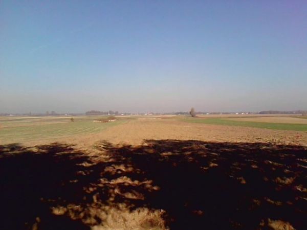 zdjecie Miękisz Stary