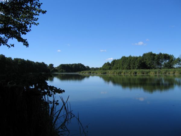 Jeziorko- zachodnia część grądów