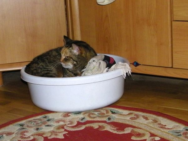 nic dodać nic odjąć wszędzie wygodnie ale czy to pewne