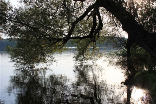 Oświetlona, z miejscami postojowym, ścież rowerowa dookoła j. Trzesiecko