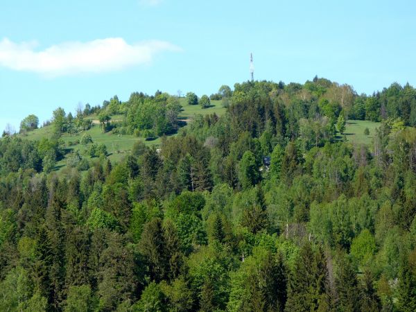 Glinka - Kubiesówka
Tu założono pierwszą osadę dającą początek Glince. Dopiero po około stu latach zaczęto osiedlać się w dolinie rzeki.
