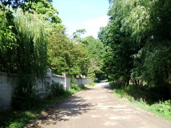 Jedna z dróg prowadzących do zespołu pałacowo-parkowego