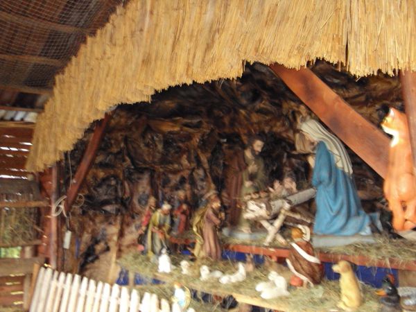 "W nędznej szopie urodzony, żłób Mu za kolebkę dano..." - przy szopce - bogato i ze znawstwem i szacunkiem dla "braci mniejszych" - uposażonej - kultywować ! wo