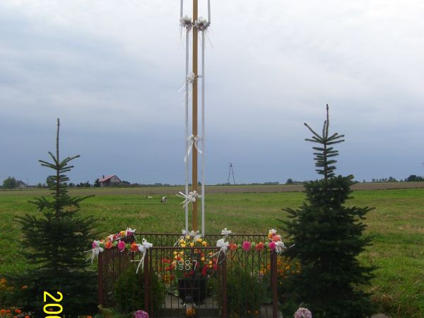 zdjecie Niedźwiedź