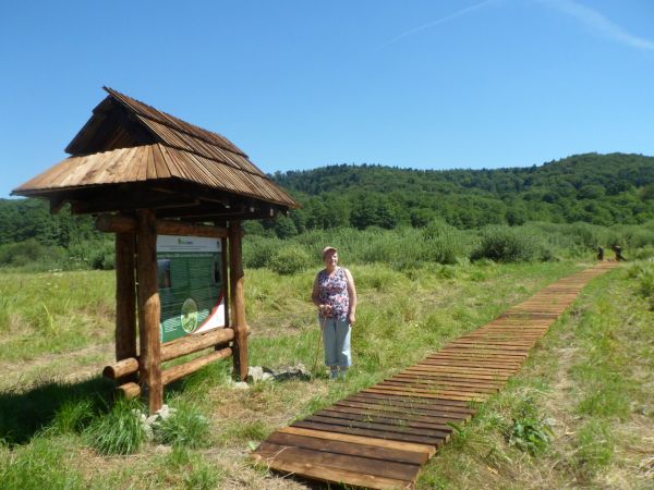 stylowy witacz z solidnie opracowaną wiedzą na planszy przy Ścieżce Przyrodniczo - Edukacyjnej, godny pochwały jest pomysł z drewnianymi trotuarami.