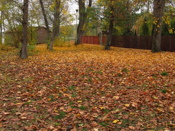 Jesień na plaży gminnej w Borsku-Jeziornej nad jeziorem Wdzydze