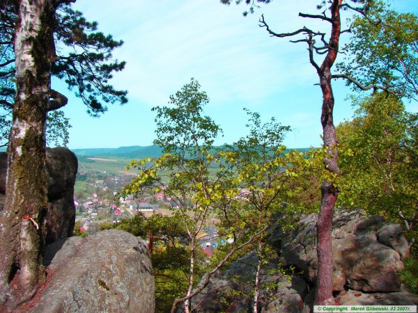 Szczytna - szczytnik