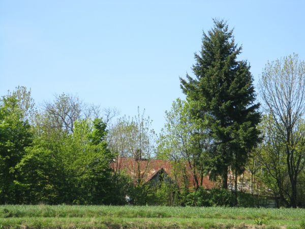 W pobliżu Przełęczy Nowiny w odosobnionym gospodarstwie Królikowskich w czasie II wojny światowej działała zakonspirowana noclegownia - punkt przerzutowy na Węg