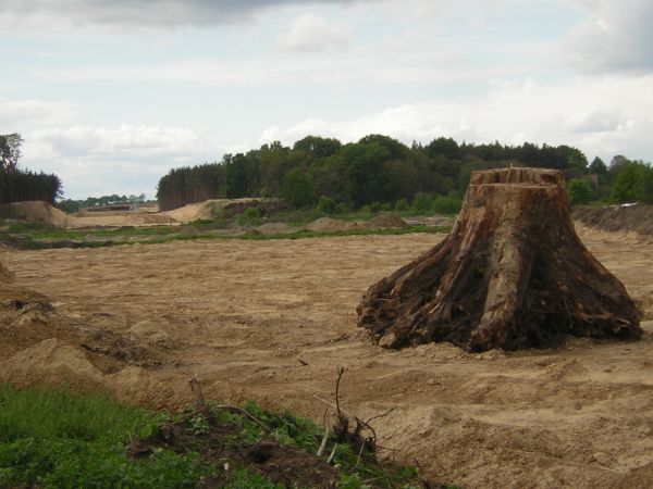 zdjecie Sulechów