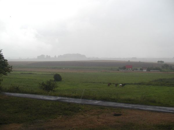 W sierpniowym deszczyku...