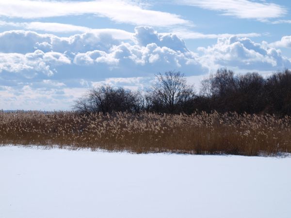 zdjecie Krynica Morska