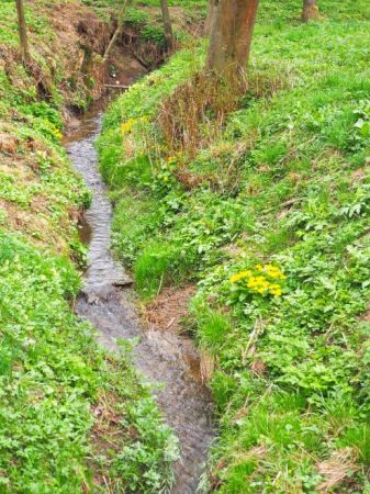 potok ze zbocza swe wody toczy - ruczaj niemalże - kaskadowo.