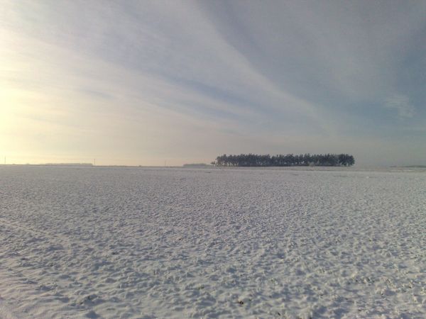 zdjecie Borawskie-Awissa