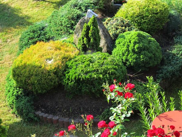 zdjecie Pietrzykowice