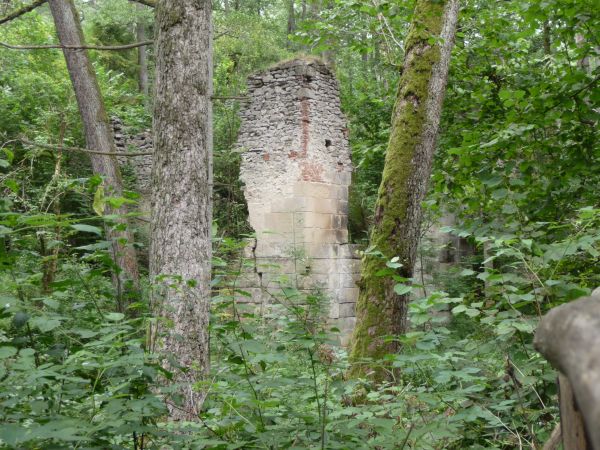 "CZARTOWE POLE"         Ruiny papierni