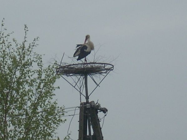 Jeszcze tylko poranna toaleta ...