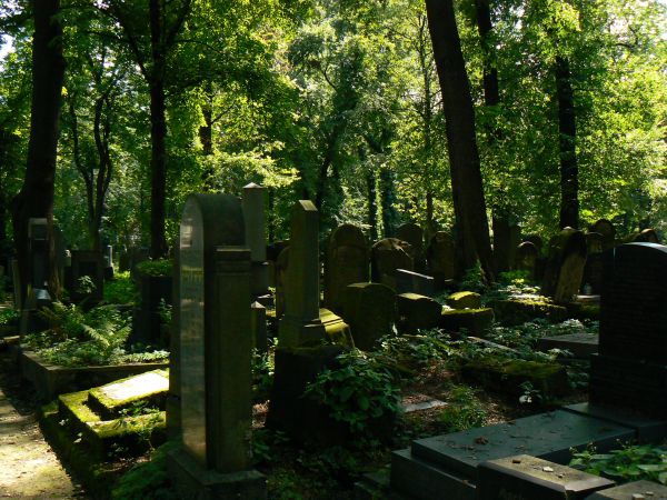 Kazimierz - kirkut Remuh