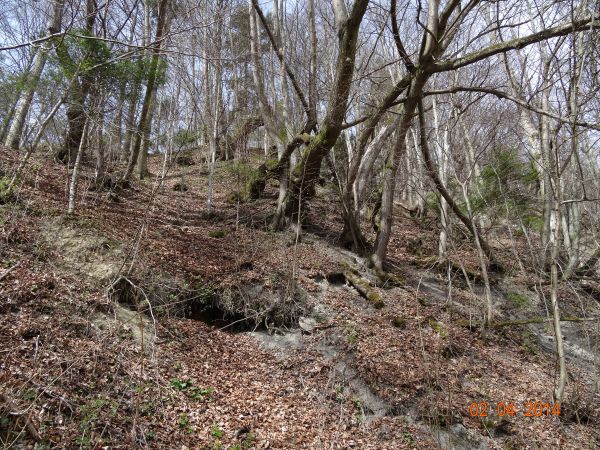 zbocze pasma Trzy Kopce - po lewej od drogi z Elektrowni do wsi.