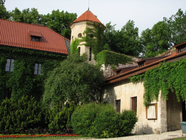 zdjecie Skała