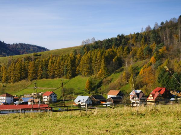 Zubrzyk-widok ogólny