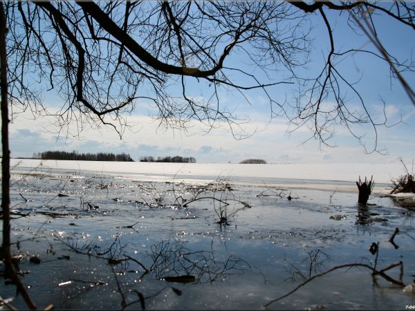 zdjecie Tyniewicze Duże