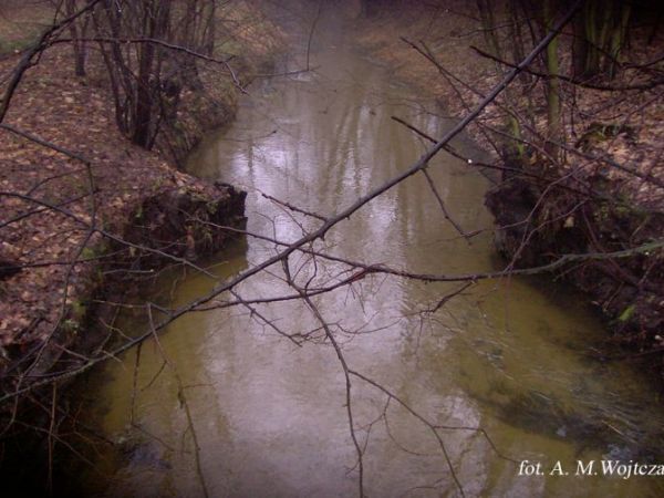 Piskory -Black Stream River (Bawół)