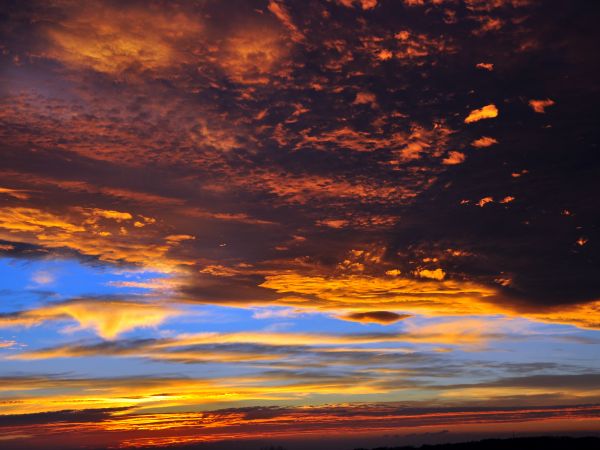 zdjecie Wodzisław Śląski