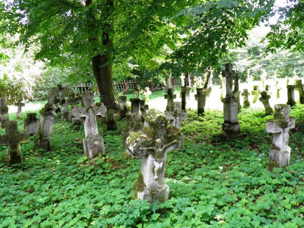 Stary , zabytkowy cmentarz greckokatolicki w Radrużu. Krzyże i figury  nagrobne wykonane przez artystów - kamieniarzy ze Starego Brusna . Wsi tamtej nie ma , lu
