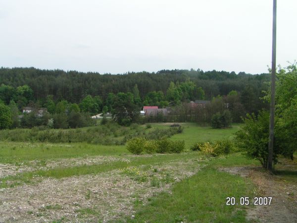 Nowe - widok z góry za lasem