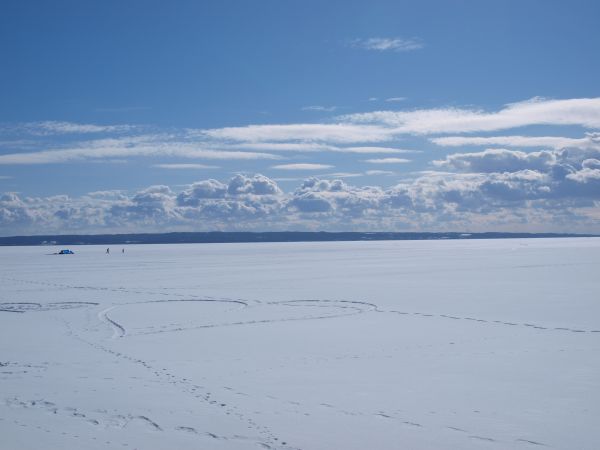 zdjecie Krynica Morska