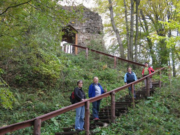 bezpiecznie i widokowo - na zamek zmierzamy, dużo okazów flory można zidentyfikować, są też te z "czerwonej księgi". Po wejściu na dziedziniec zamkowy - szczegó